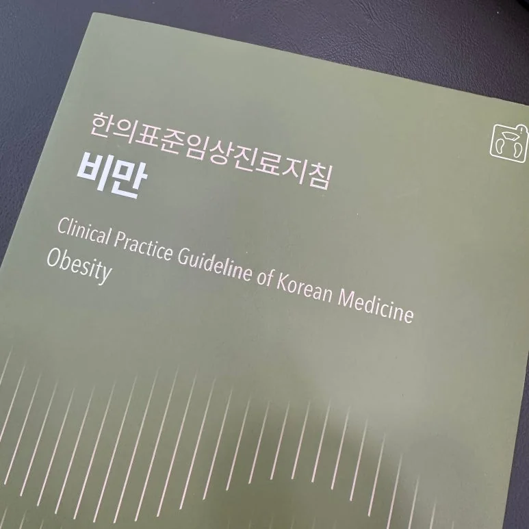 원문에 소개된 한의 진료 지침서