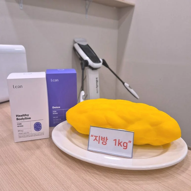 지방의 부피를 설명하는 원내 모형